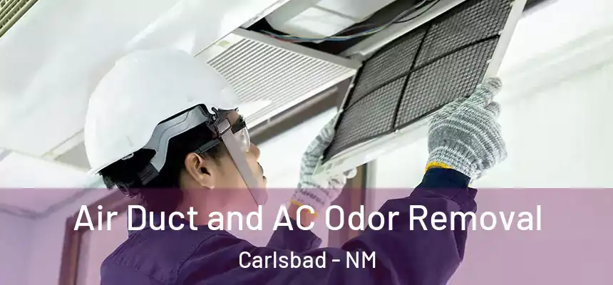 Air Duct and AC Odor Removal Carlsbad - NM