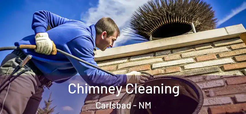  Chimney Cleaning Carlsbad - NM