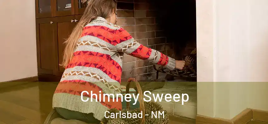  Chimney Sweep Carlsbad - NM