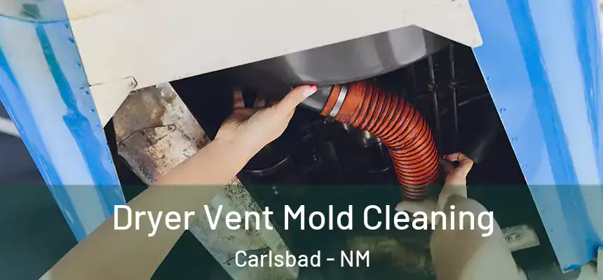 Dryer Vent Mold Cleaning Carlsbad - NM