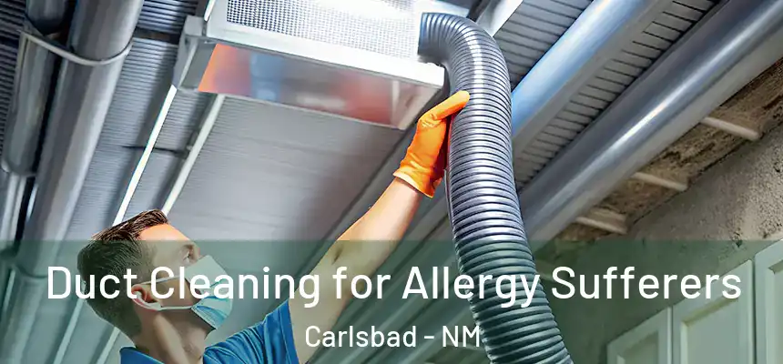 Duct Cleaning for Allergy Sufferers Carlsbad - NM