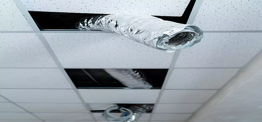 Our Air Duct Pet Hair Removal Services in Carlsbad, NM