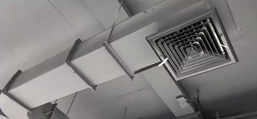 Restorative Allergy Relief Vent Cleaning – Coil, Blower & Housing Detail in Carlsbad