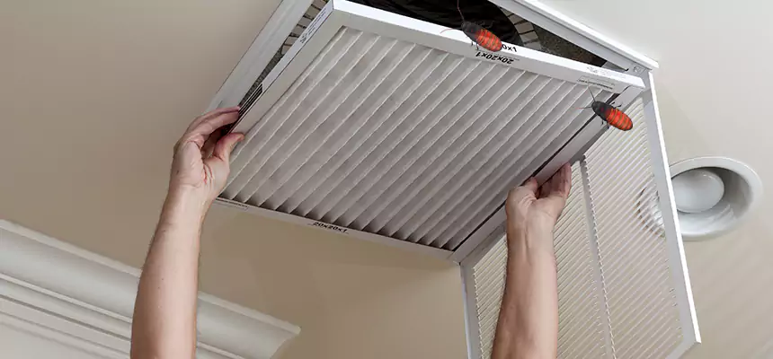 Our Insect Removal from Air Ducts Services in Carlsbad, NM