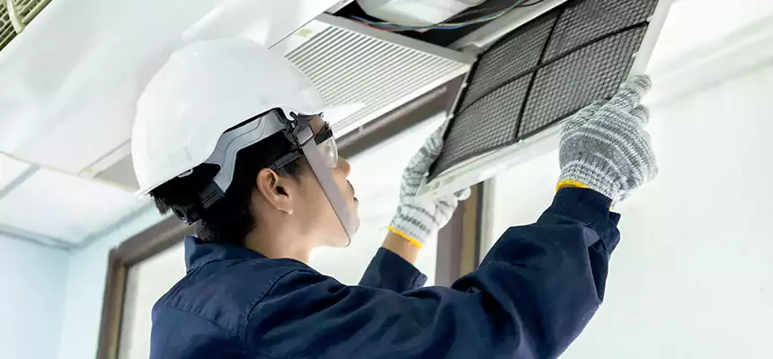 Our Mold & Mildew Removal from Air Ducts Services in Carlsbad, NM