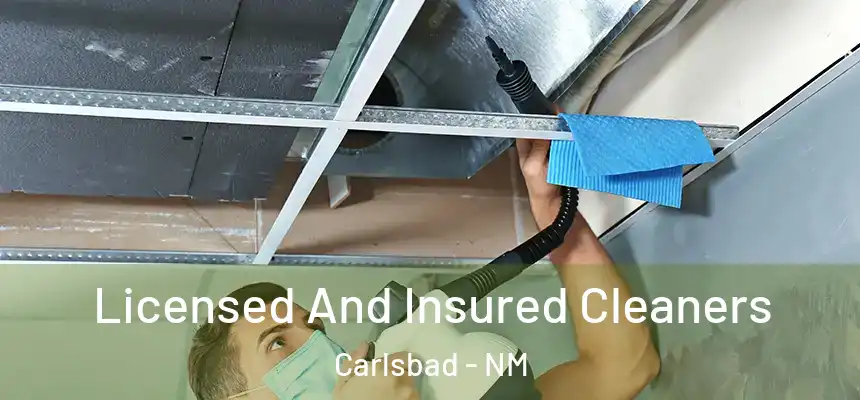  Licensed And Insured Cleaners Carlsbad - NM