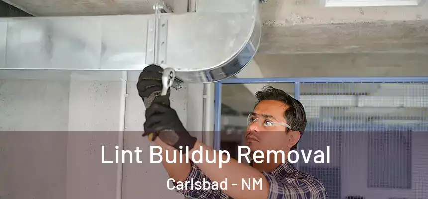Lint Buildup Removal Carlsbad - NM
