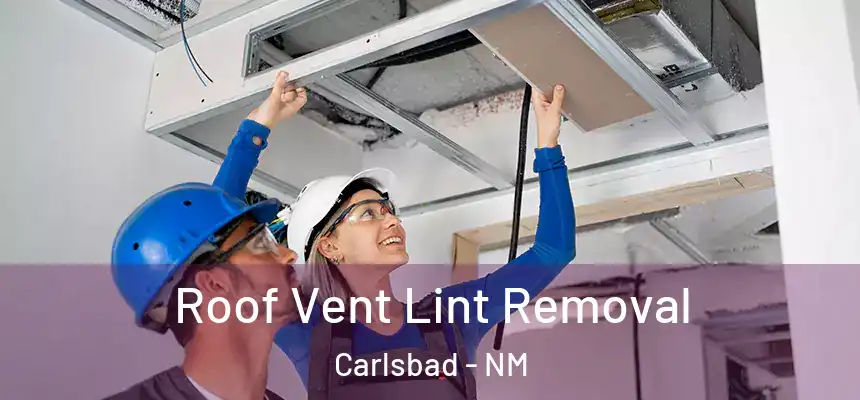  Roof Vent Lint Removal Carlsbad - NM