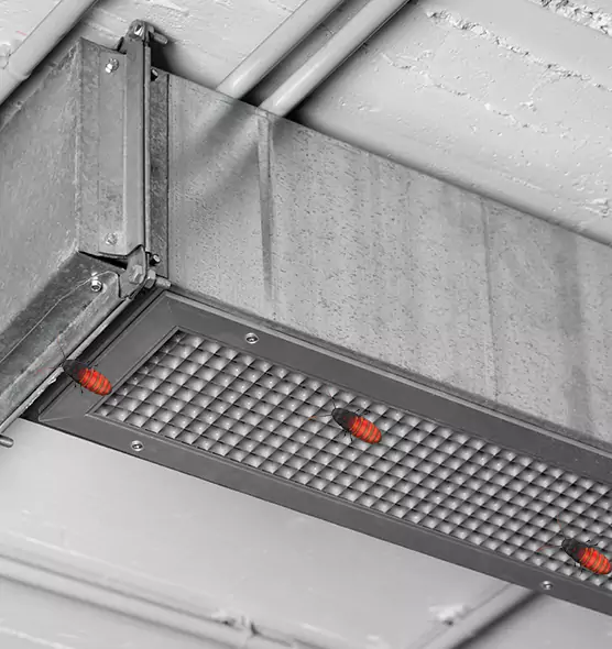 About Air Duct Cockroach Removal in Carlsbad, NM