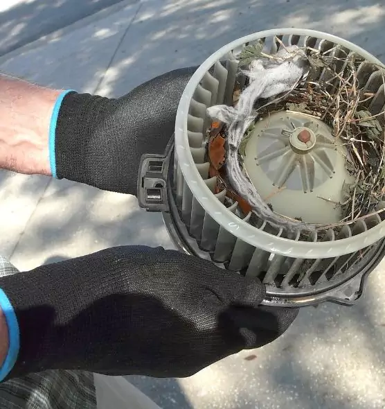 About Air Duct Rat Removal in Carlsbad, NM