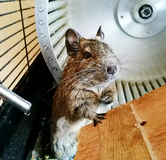 Why Homeowners & Businesses Trust Us Carlsbad, NM?