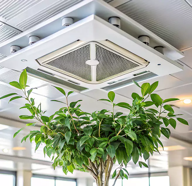 Why Homeowners & Businesses Trust Us in Carlsbad, NM