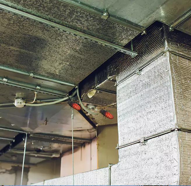 Why Homeowners & Businesses Trust Us Carlsbad, NM?